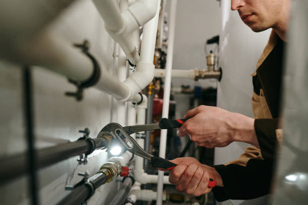 Best Emergency Plumbing Repair  in Wayne City, IL